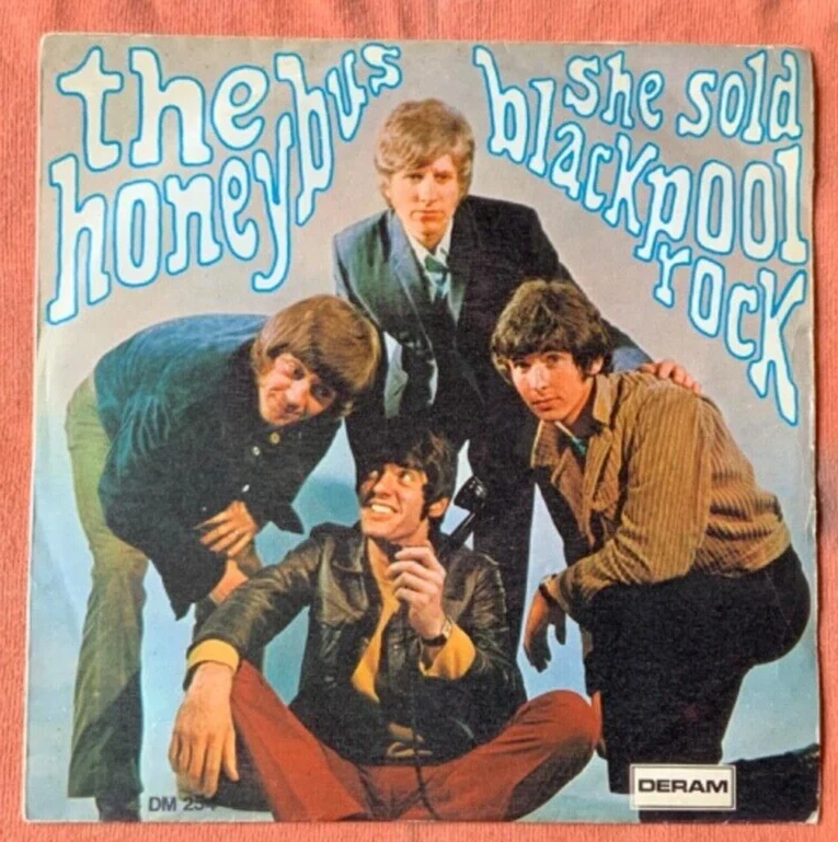 Disco 45 Giri The Honeybus She Sold Blackpool Rock/Would You Believe Dm 254 1969