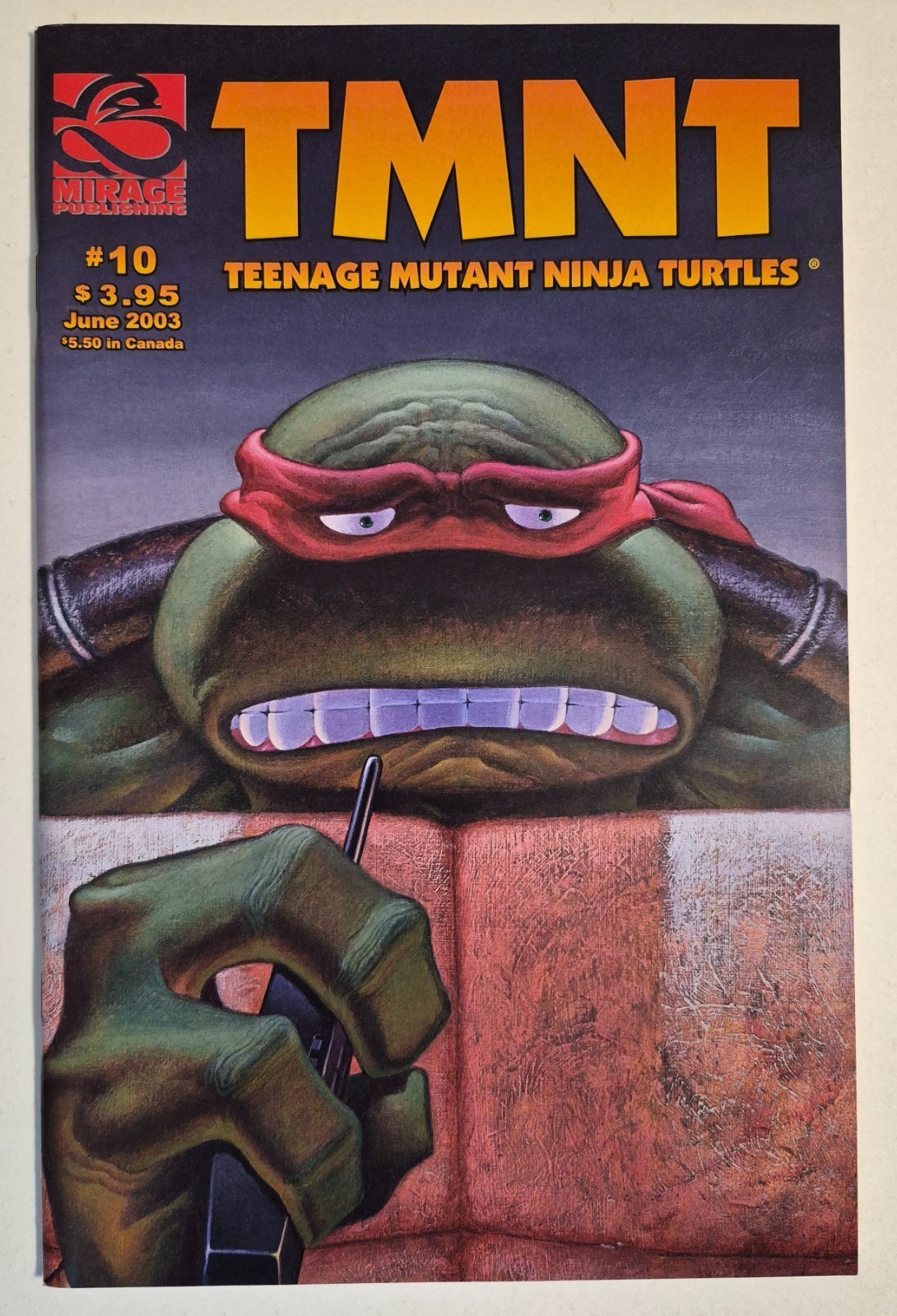 TMNT: Teenage Mutant Ninja Turtles #10 (2003, Mirage) NM Vol 4 Peter Laird HTF