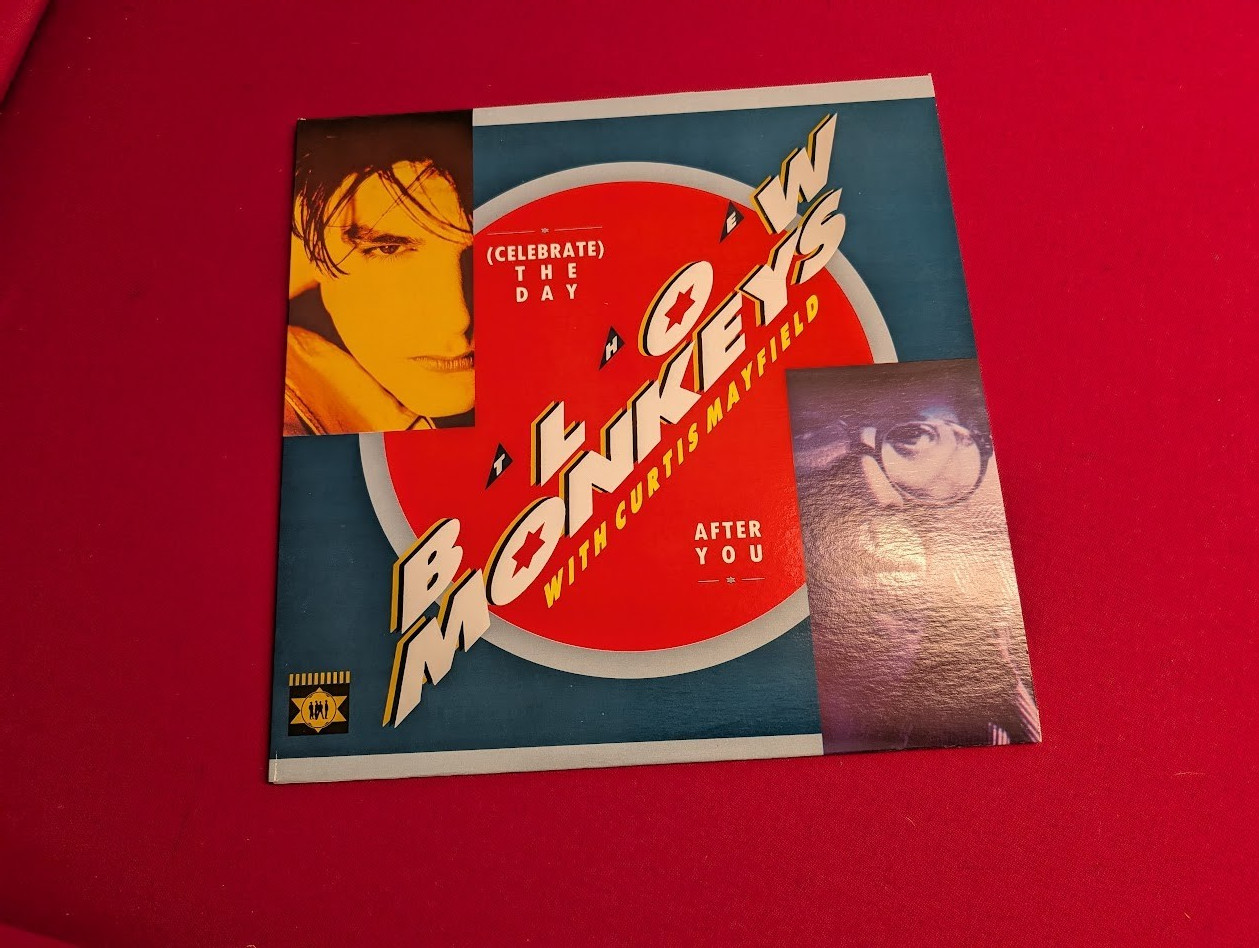 The Blow Monkeys with Curtis Mayfield – (Celebrate) The Day After You LP 12'