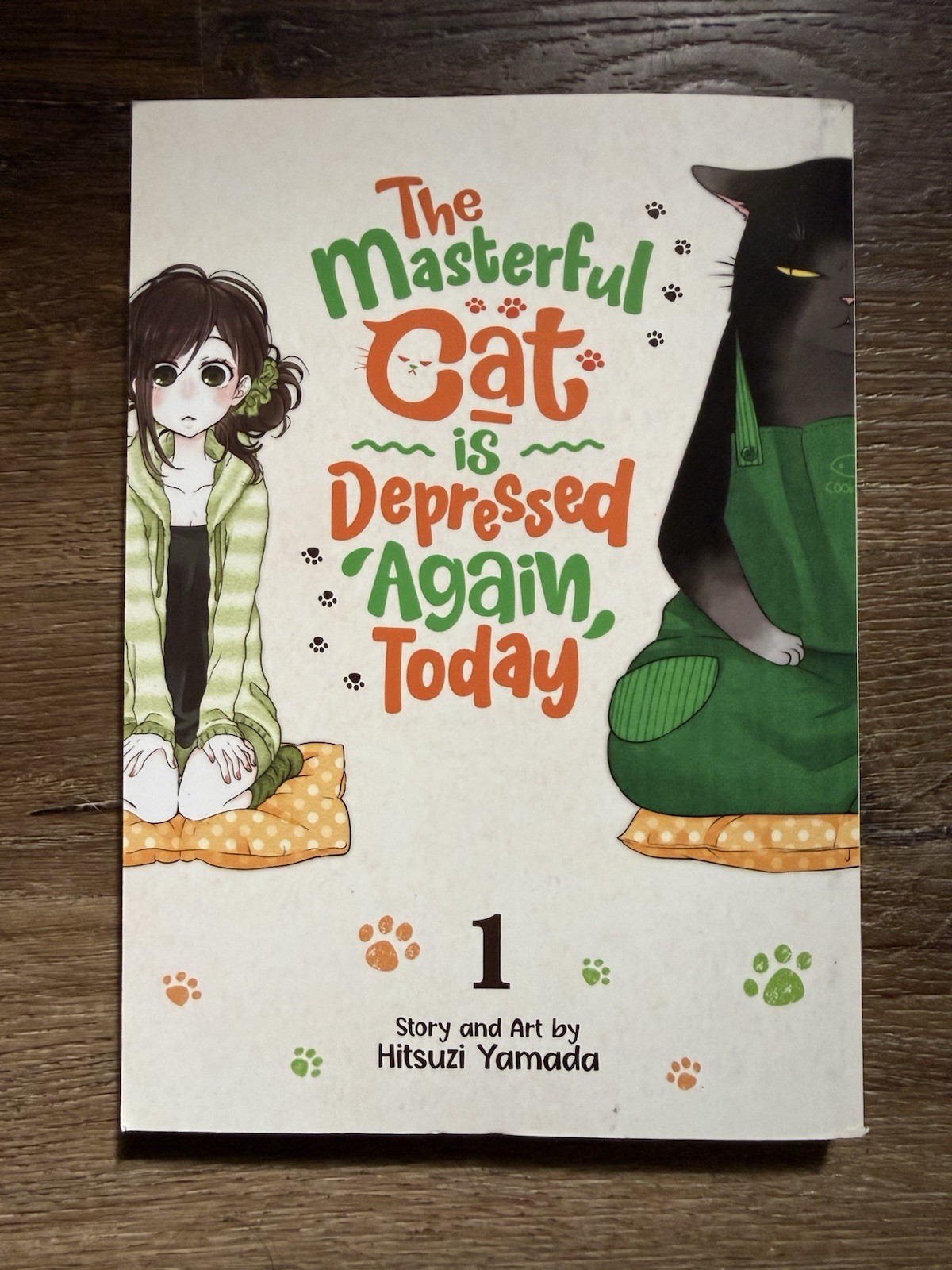 Il gatto magistrale è di nuovo depresso vol. 1 (2021) Seven Seas Entertainment