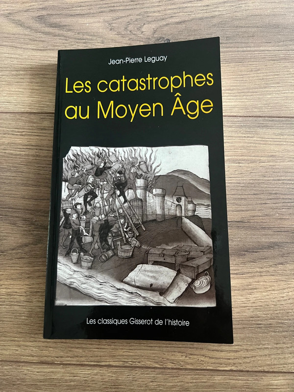 Livre - les catastrophes au Moyen ��ge