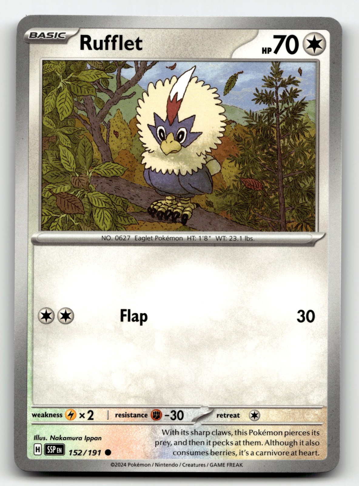 Rufflet 152/191 Surging Sparks Common Pokemon TCG [LP]