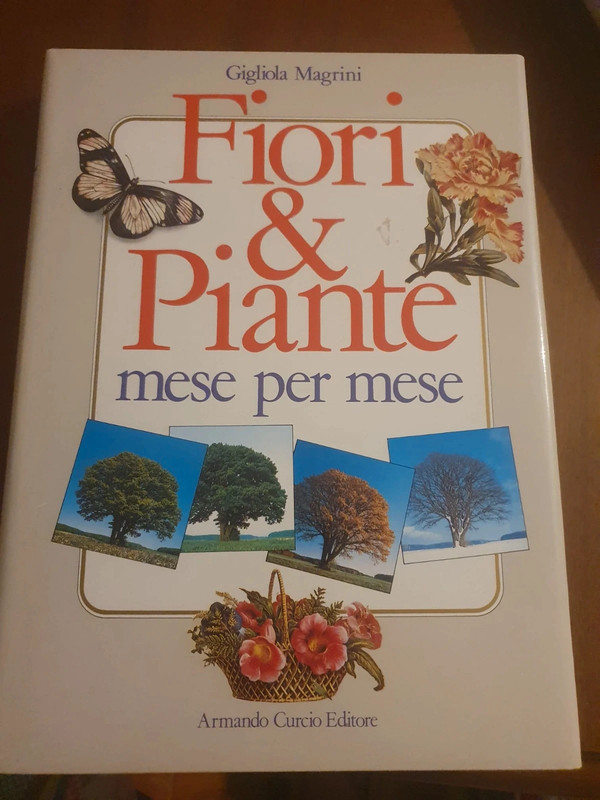 Fiori e piante