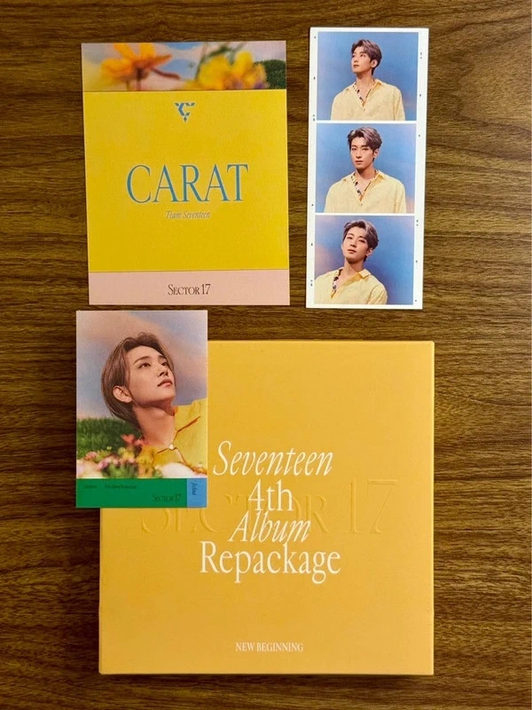 seventeen - sector 17 album