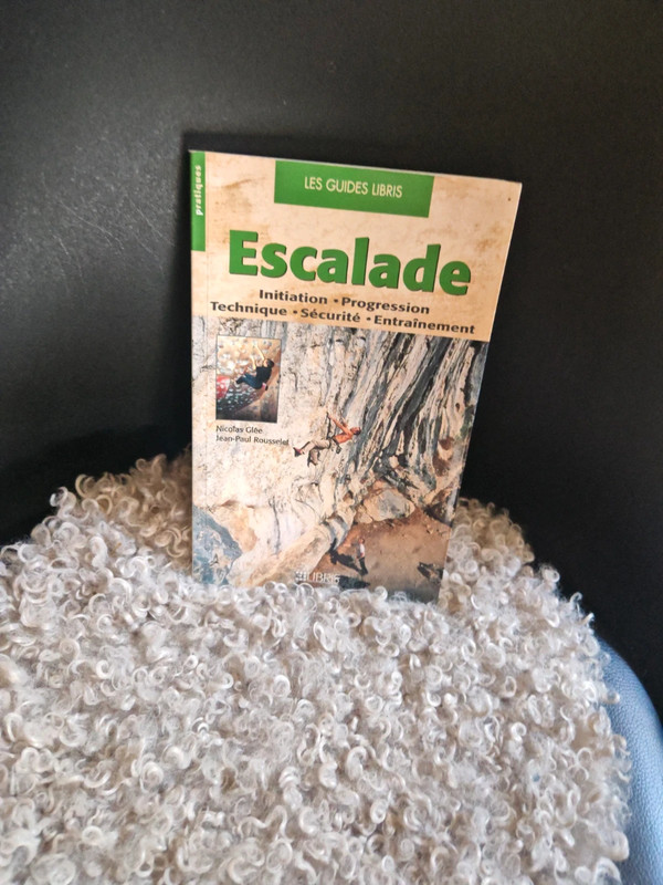 Livre Escalade initiation progression technique sécurité entraînement