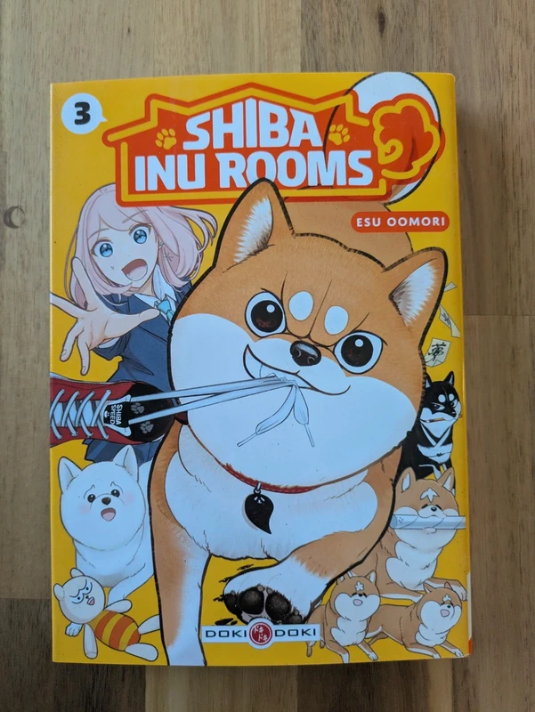 Shiba Inu Rooms - vol. 03
