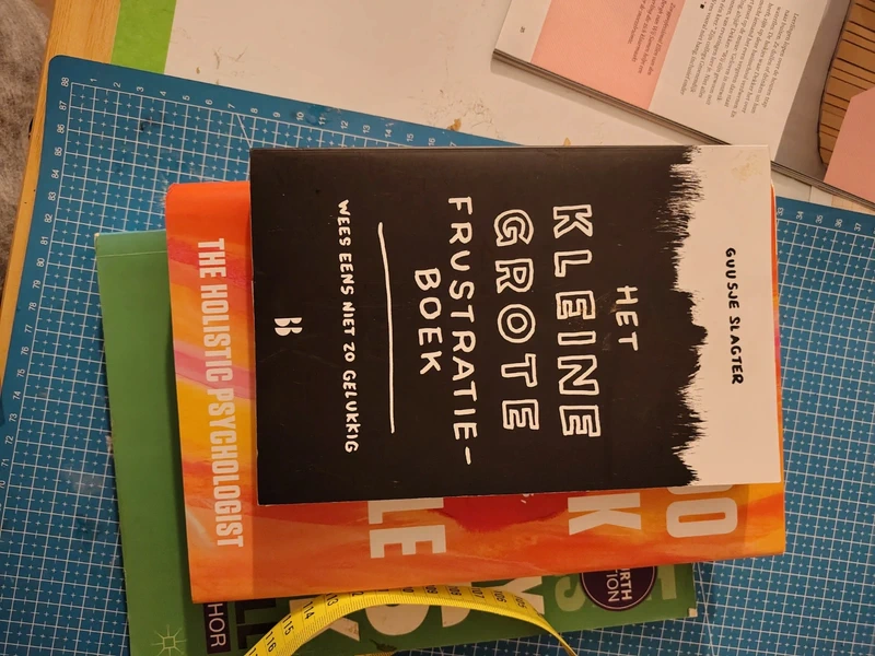 Het kleine grote frustratie boek