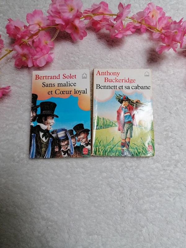 Lot de 2 livres de poche