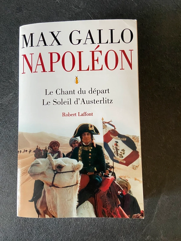 Napoléon de Max Gallo