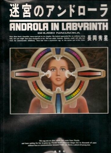 ANDROLA LABIRINTO Opere d'arte libro illustrazione 1984 ART dal Giappone forma libro JP