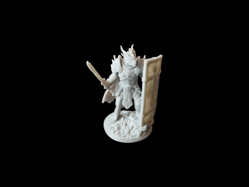 Miniatura Draconide Paladino D&D