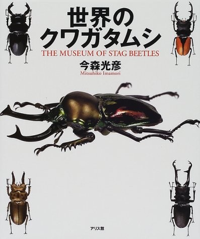 Usato Lo scarabeo cervo del mondo 2000/7 Contenuto libro modulo JP