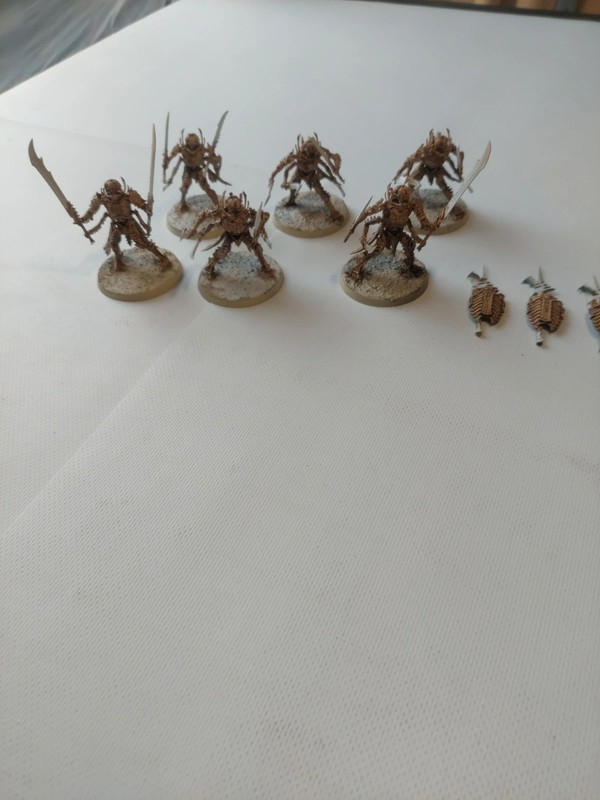 AOS Ossiarch Bonereapers. 6X Necropolis Stalkers Immortis guards. 733