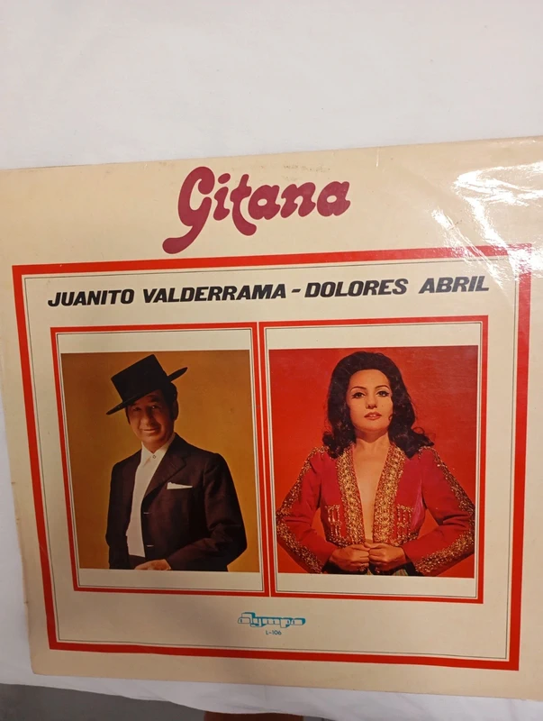 Disco vinilo