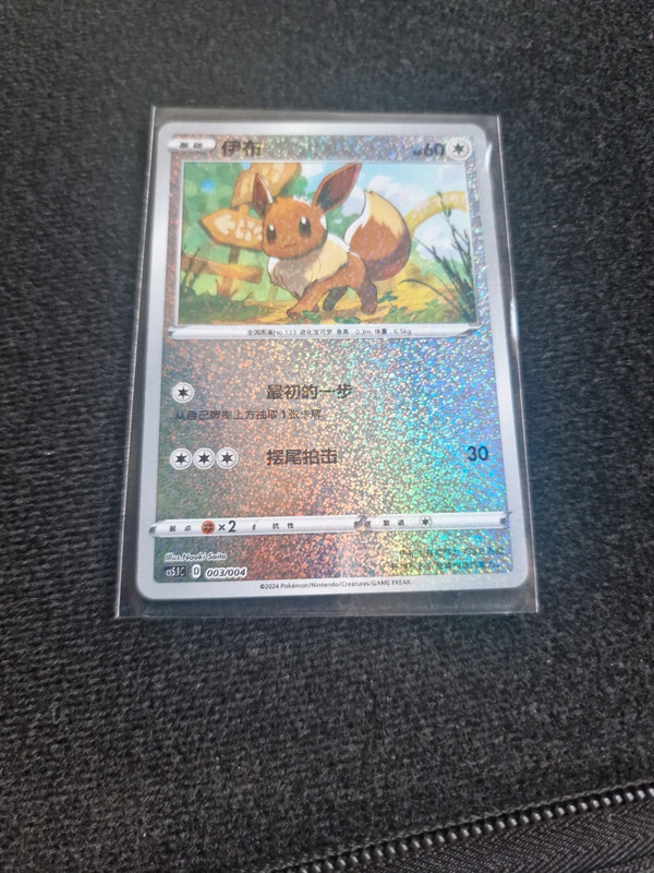 Pokemon Eevee 003