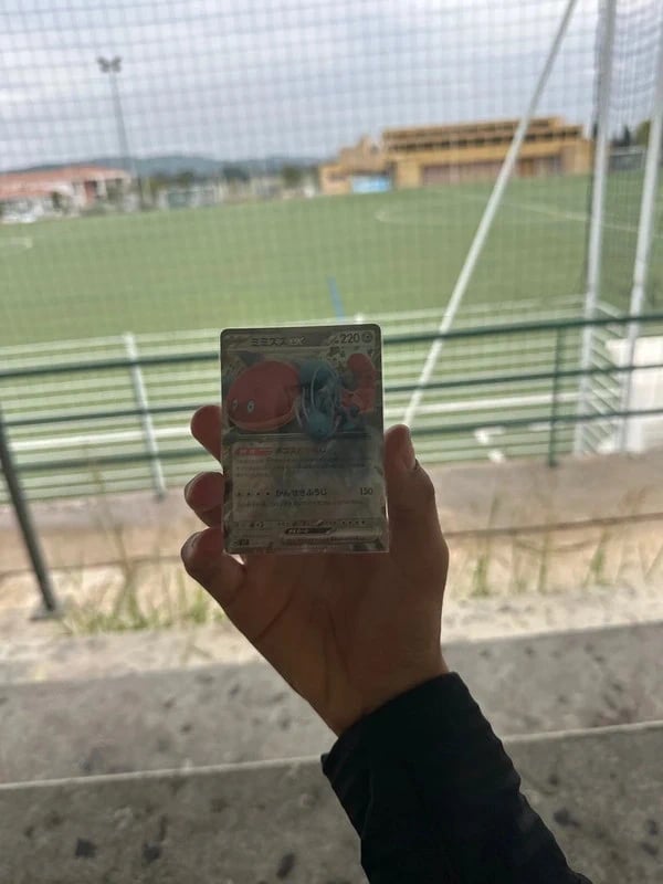 Carte Pokémon Ver de terre Ex holographique