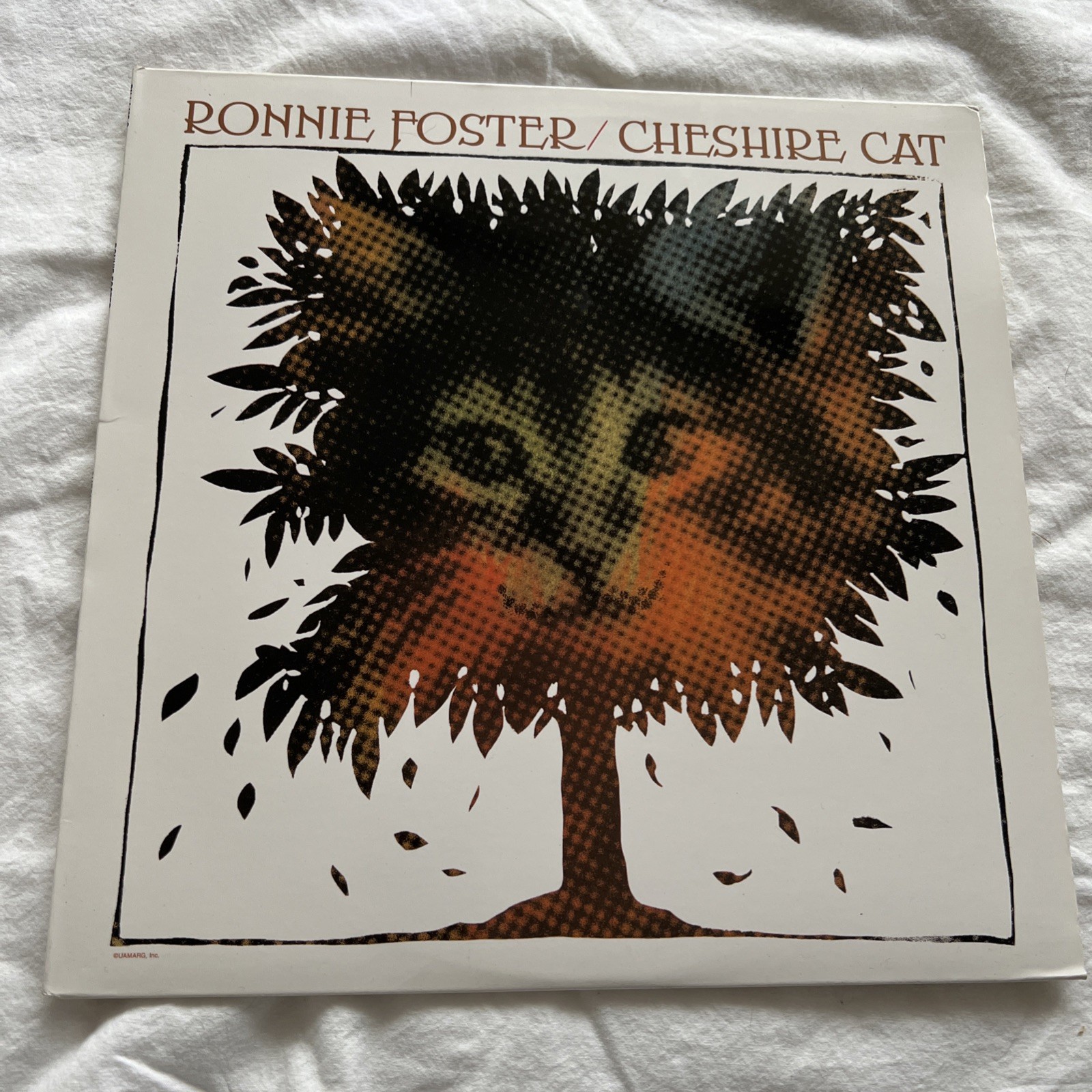 Ronnie Foster Cheshire Cat Vinyl Lp Record VG+