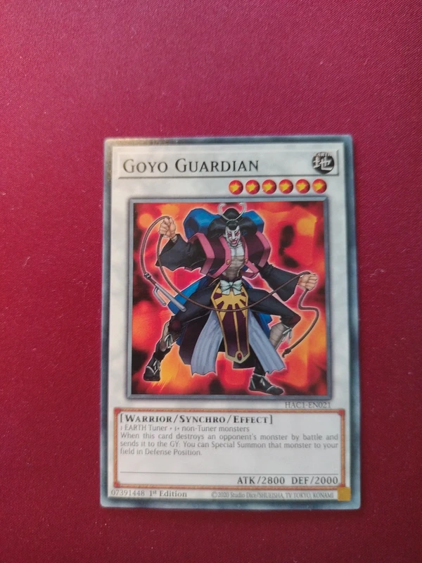 Goyo Guardian