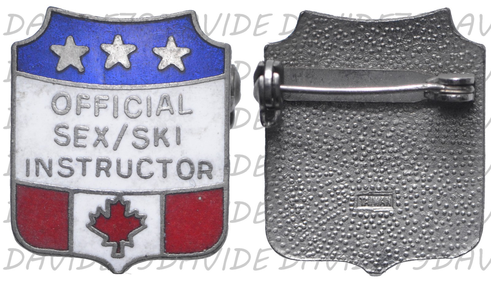03163] DISTINTIVO SPILLA PIN - UFFICIALE DI ISTRUTTORE DI SESSO SCI CANADA