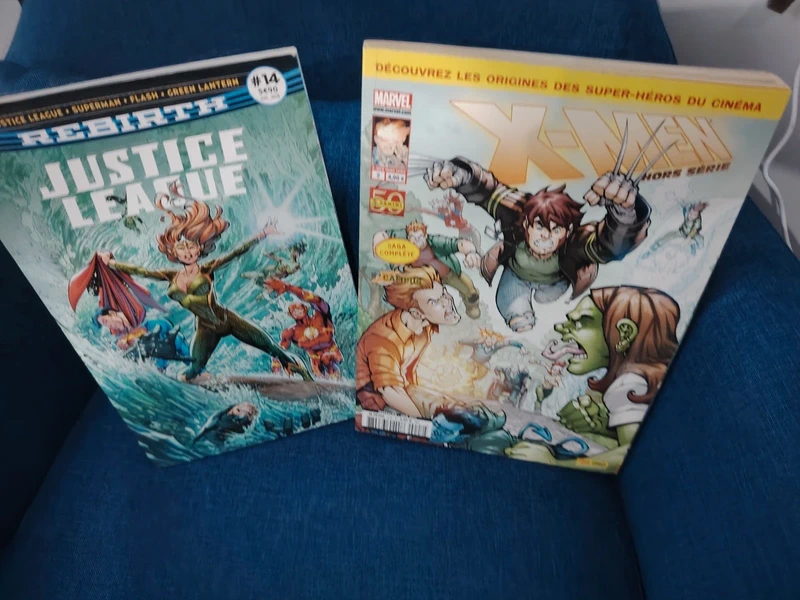 Lot de 2 BD comics