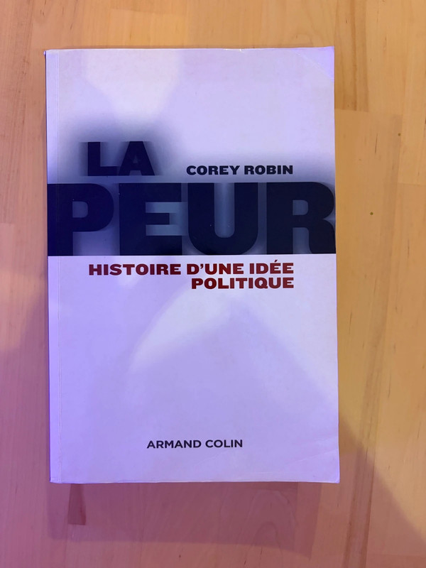 La peur, histoire d’une idée politique