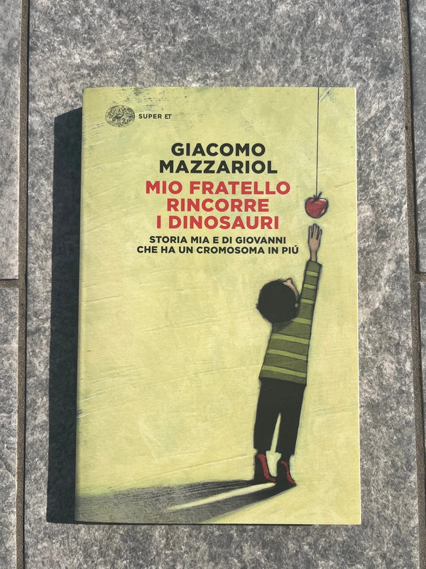 Libro Mio fratello rincorre i dinosauri