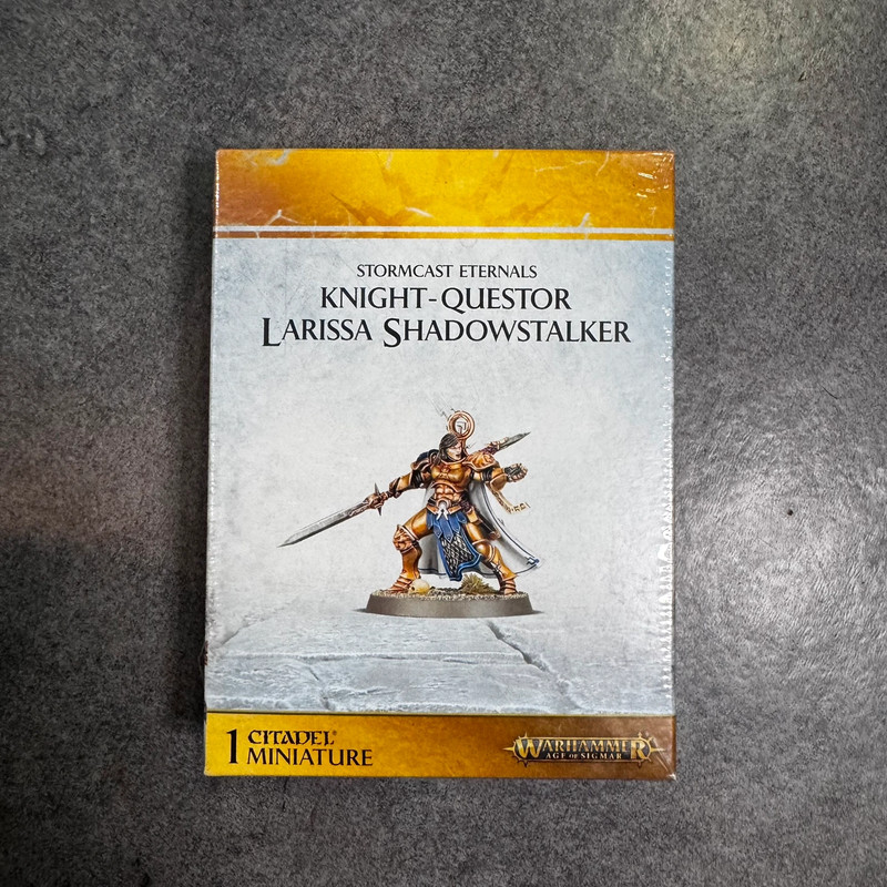 Knight Questor Larissa Shadowstalker