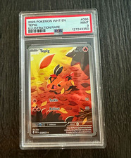 The Pokémon Company Tepig 096/086 Illustrazione Rara Holo EN 2025 PSA 9