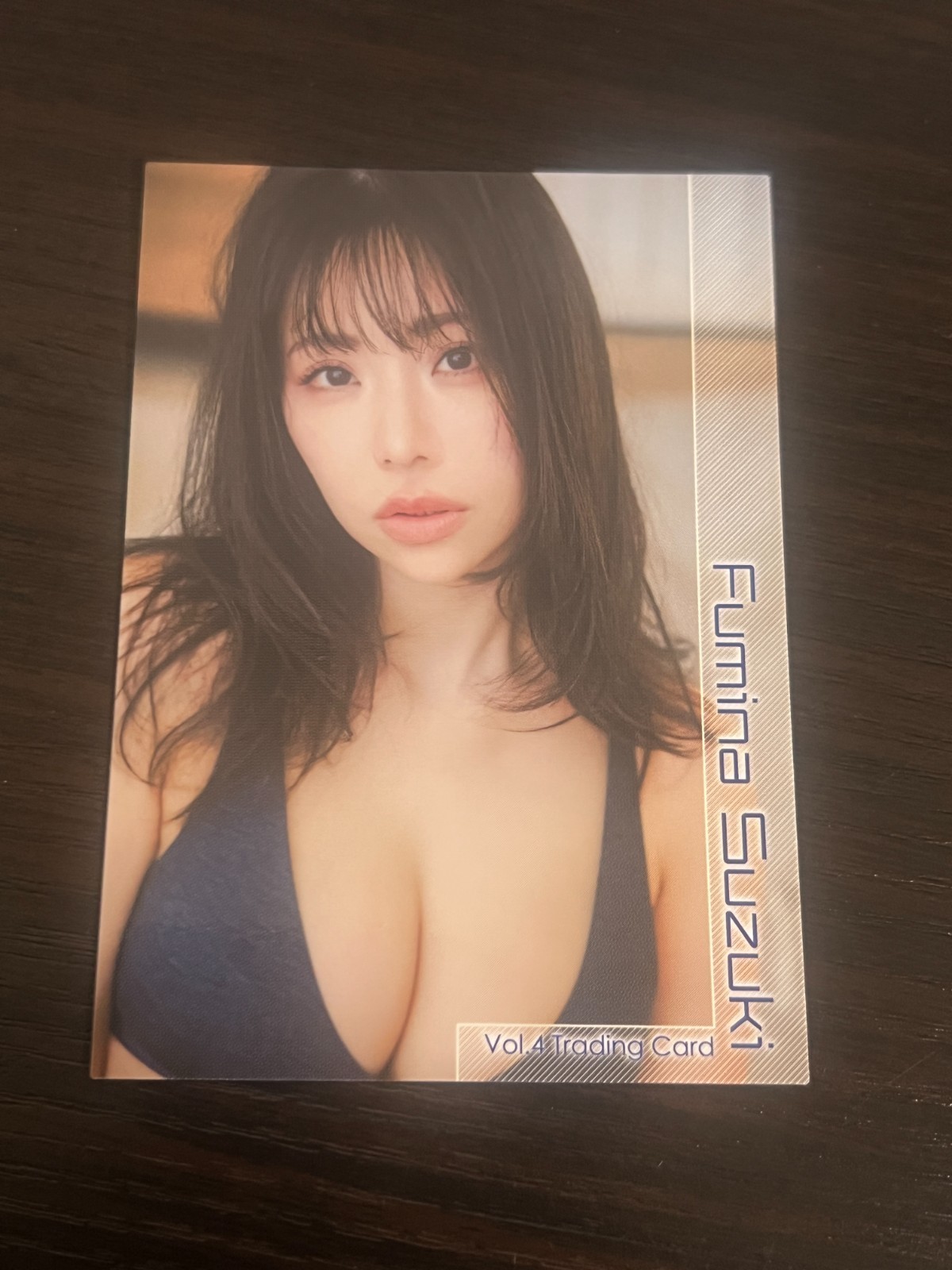 Hit's Fumina Suzuki Vol.4 Trading Card Japanese Bikini Idol RG36 F/S