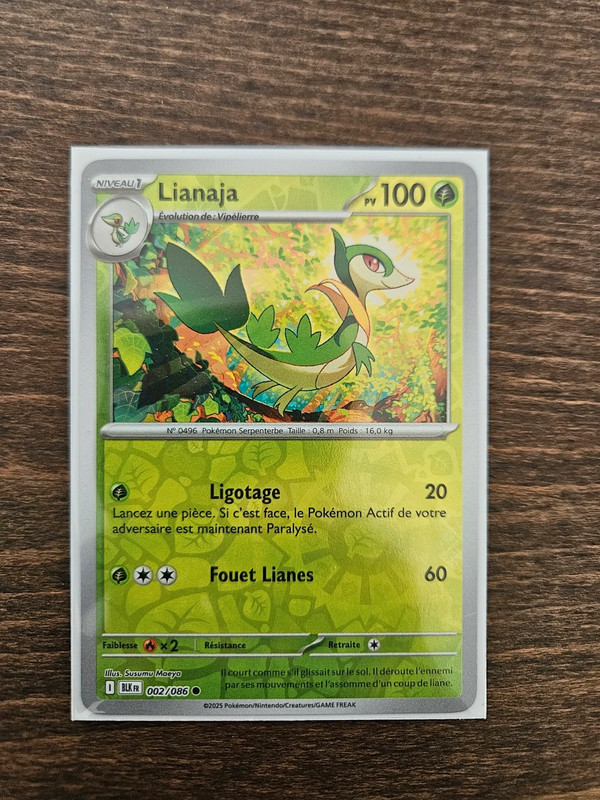 Lianaja reverse 002/086
