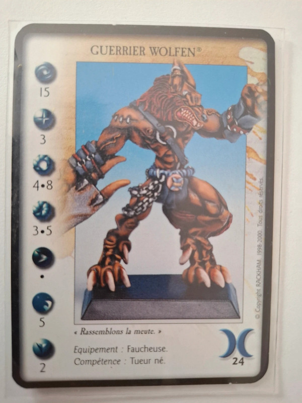 Confrontation Guerrier Wolfen