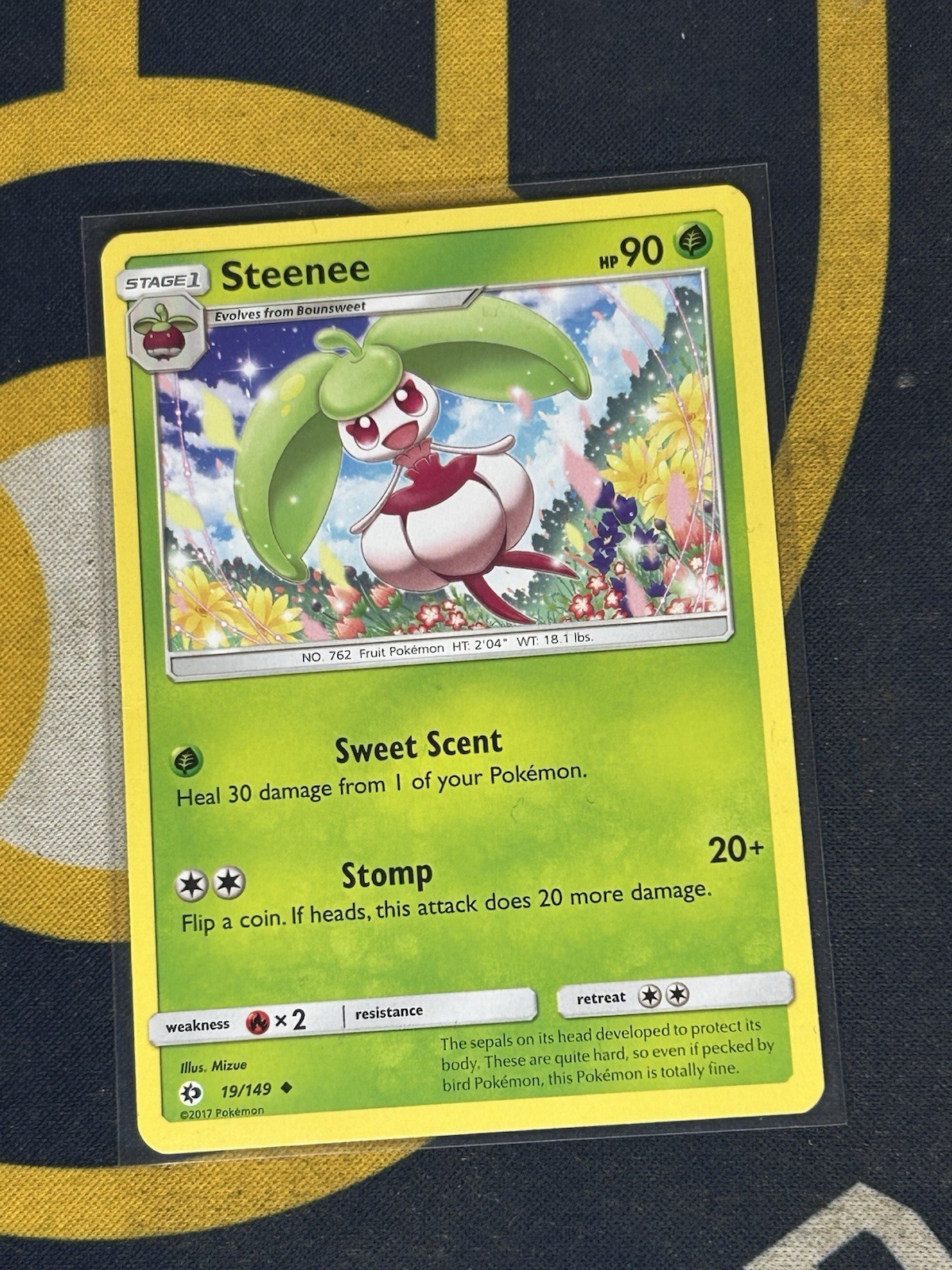 Steenee 19/149 SM Set Base Regolare