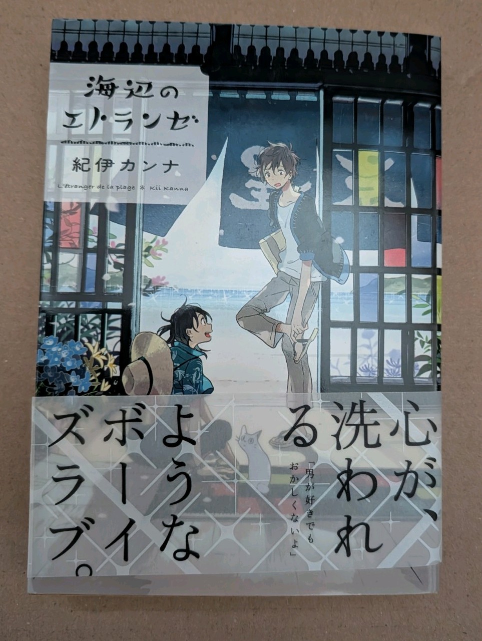 Japanese Manga Stranger by the Shore Umibe no Etranger 