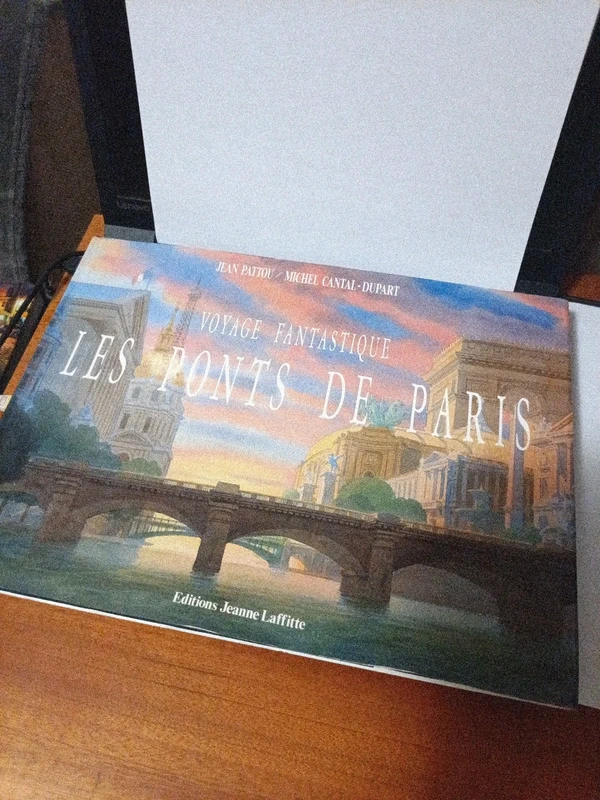 Pattou - Les ponts de Paris