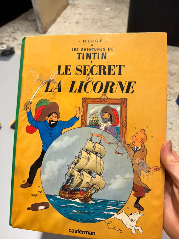 Le secret de la licorne