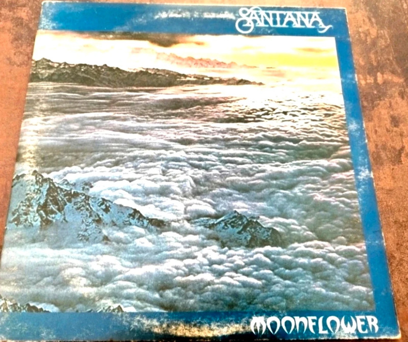 Moonflower.