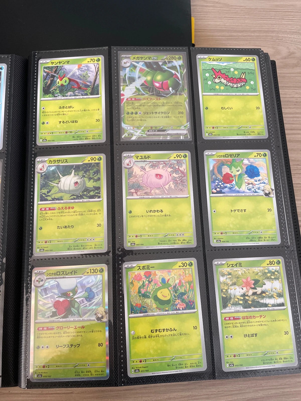 Cartes Pokémon.