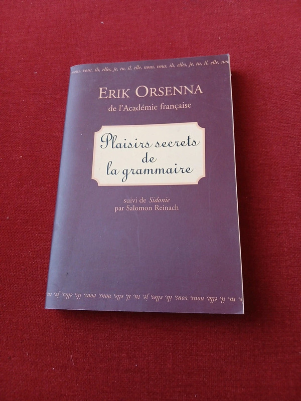 Plaisirs secrets de la grammaire, erik orsenna