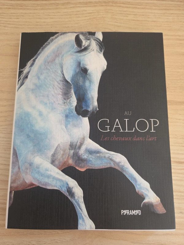 Au galop les chevaux dans l’art