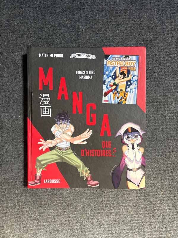 Livre Manga que d'histoires !
