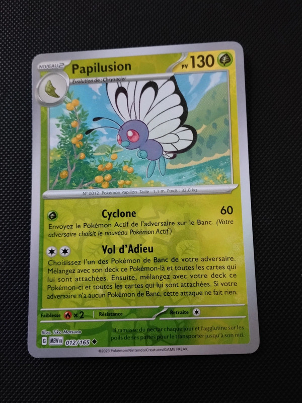 Papilusion 12/165