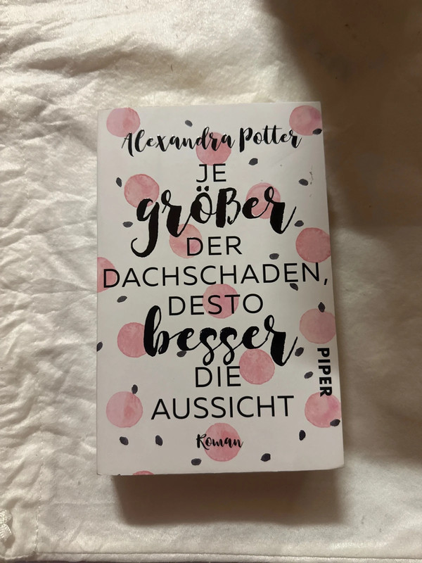 Buch: Je größer der Dachschaden desto besser die Aussicht Alexandra Potte