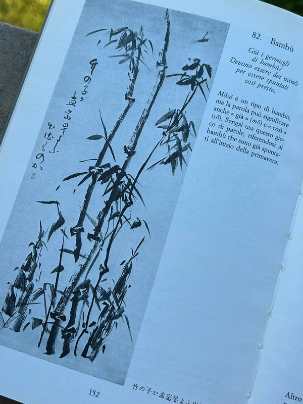 Chinese Vintage book il maestro zen sengai poesie e disegni a china