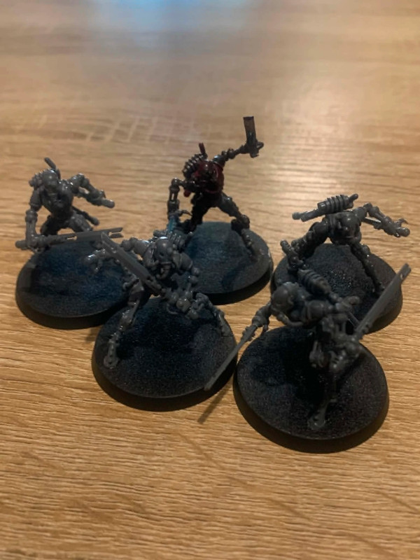 sicarian infiltrators
