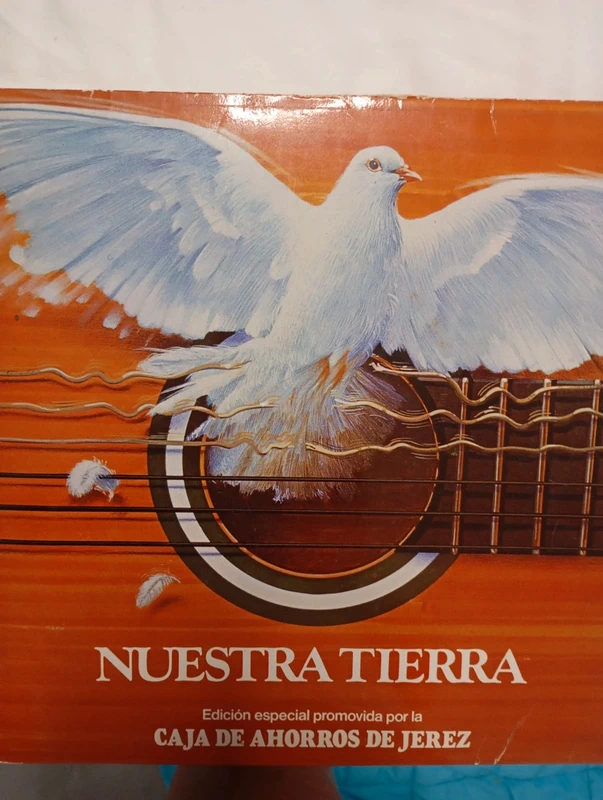 Disco vinilo