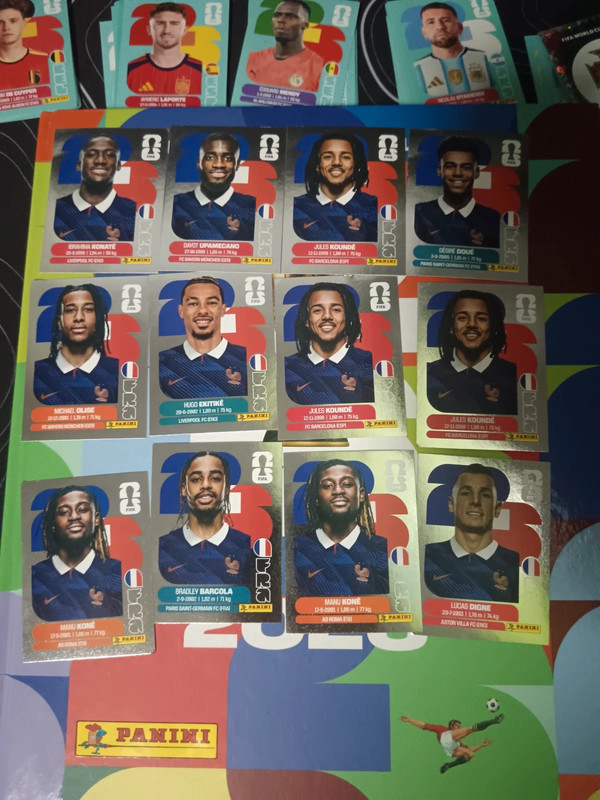 Carte panini équipe de France argenté