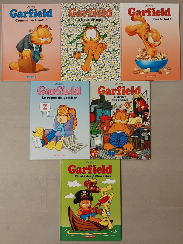 6 BD Garfield