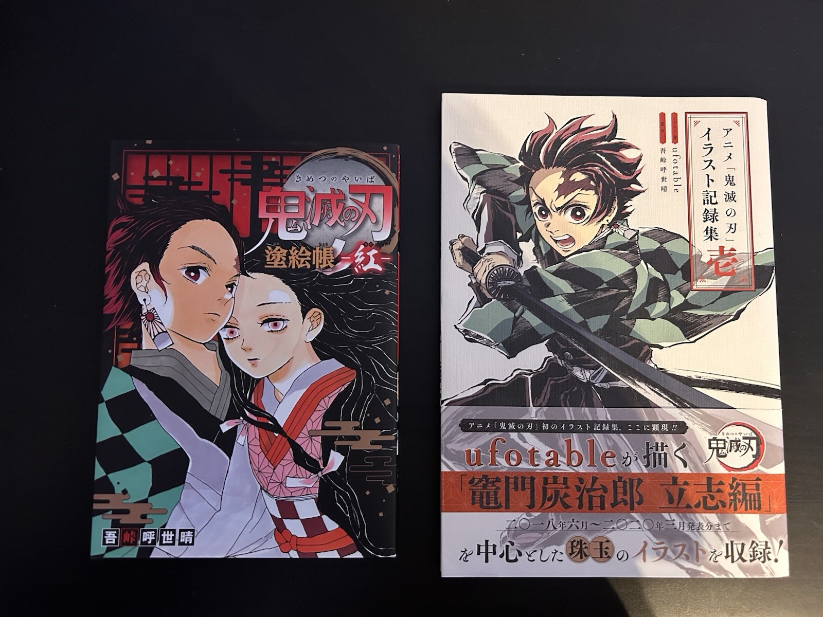 Demon Slayer libro d'arte e libro da colorare NUOVO