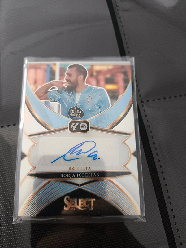 Borja iglesias auto
