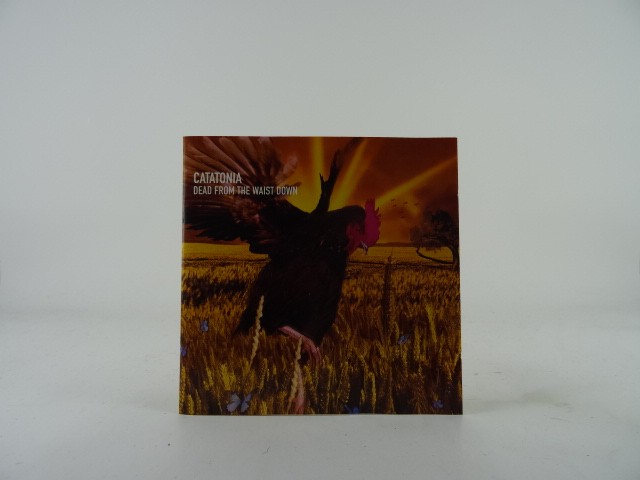 CATATONIA DEAD FROM THE WAIST DOWN (A65) 3 Track CD Single plus Picture Sleeve W
